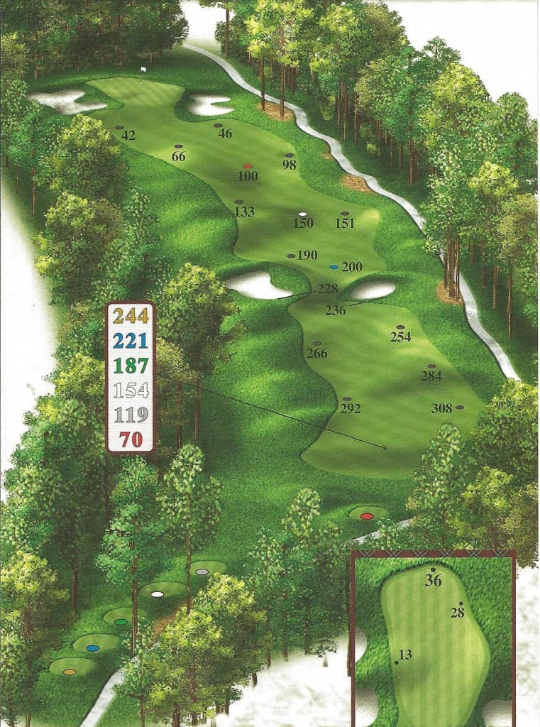 Hole 11 761x1024