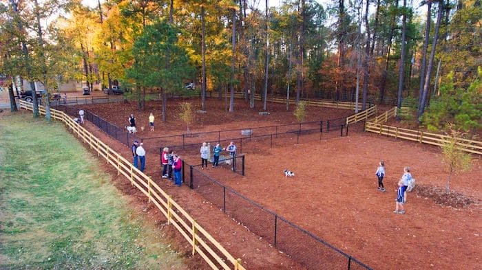 dog park