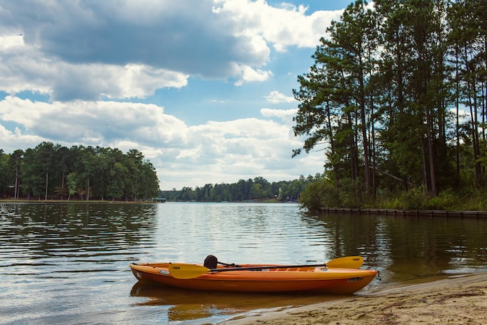 lake_life_best_life.jpeg.jpg